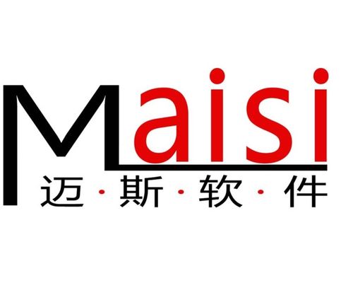 科技赋能，数智转型 合肥迈斯软件科技的软件开发之道